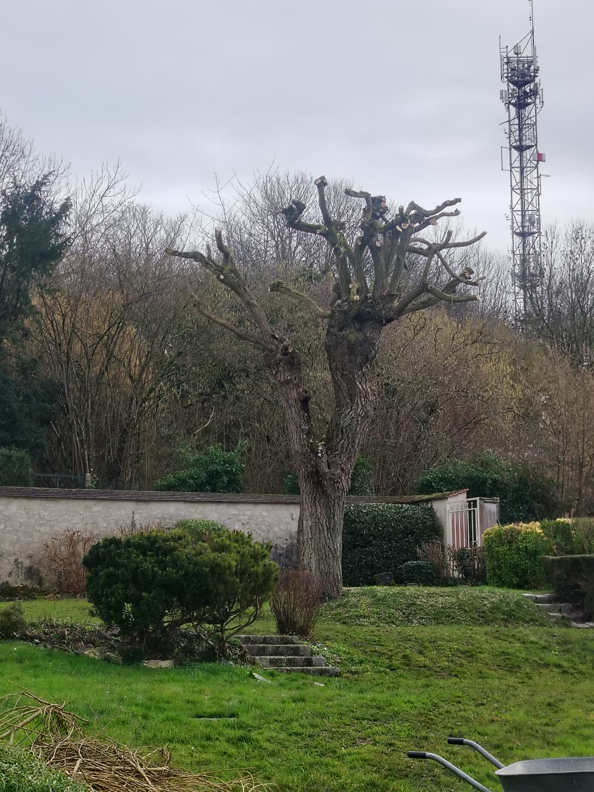 Jardin urbain entretenu par un paysagiste à Melun