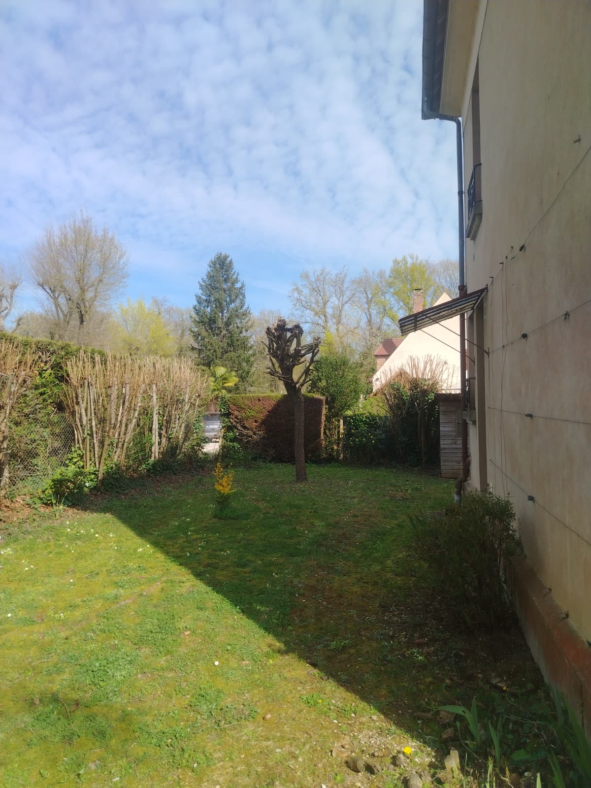 Pelouse fraîchement engazonnée devant une maison